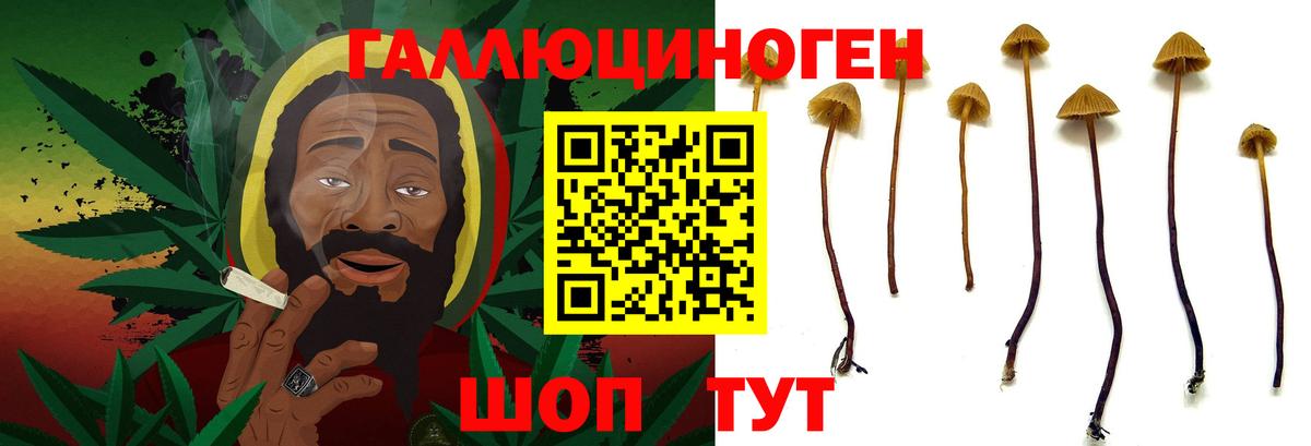 Псилоцибиновые грибы Psilocybe  Вход с VPN  Арзамас 